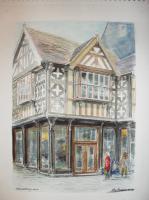 Fine Art - Shrewsbury - Watercolour